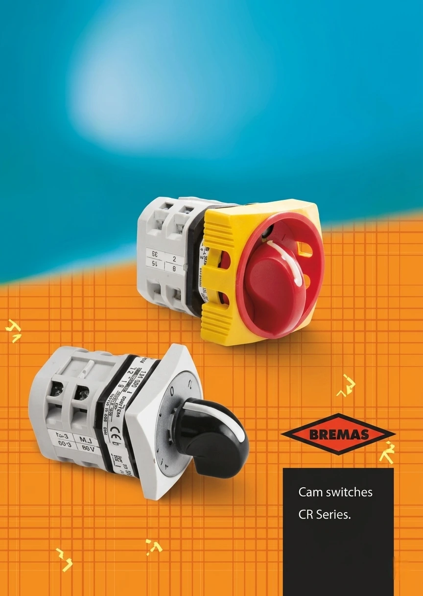 Cam Switches